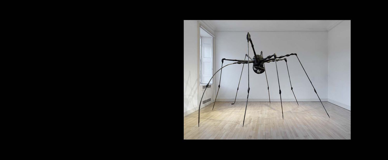ARTIST ROOMS Louise Bourgeois | Helen Chadwick | Robert Mapplethorpe | National Galleries of Scotland: Modern One