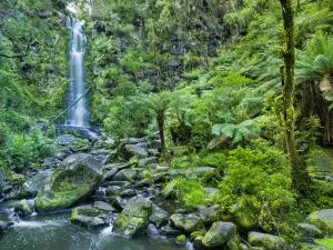 Great Otway National Park