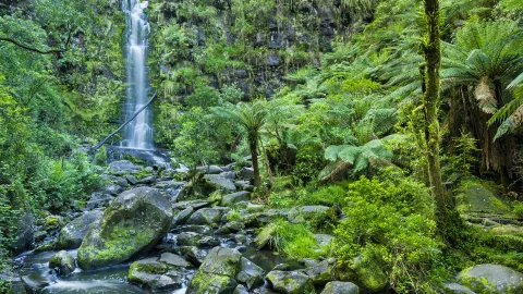 Great Otway National Park attraction in Victoria