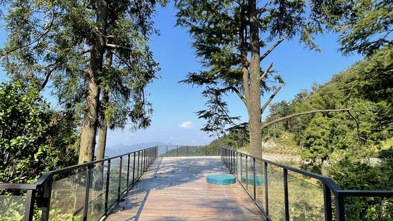 tian mu shan guo jia ji feng jing ming sheng qu