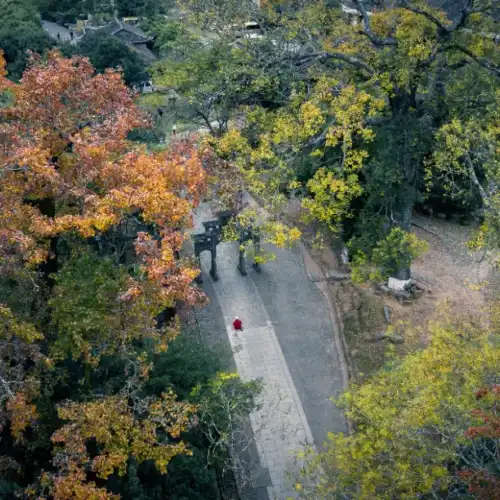 Popular Fall Viewing Attractions in Liancheng