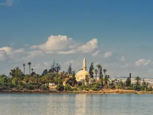 Larnaca Salt Lake