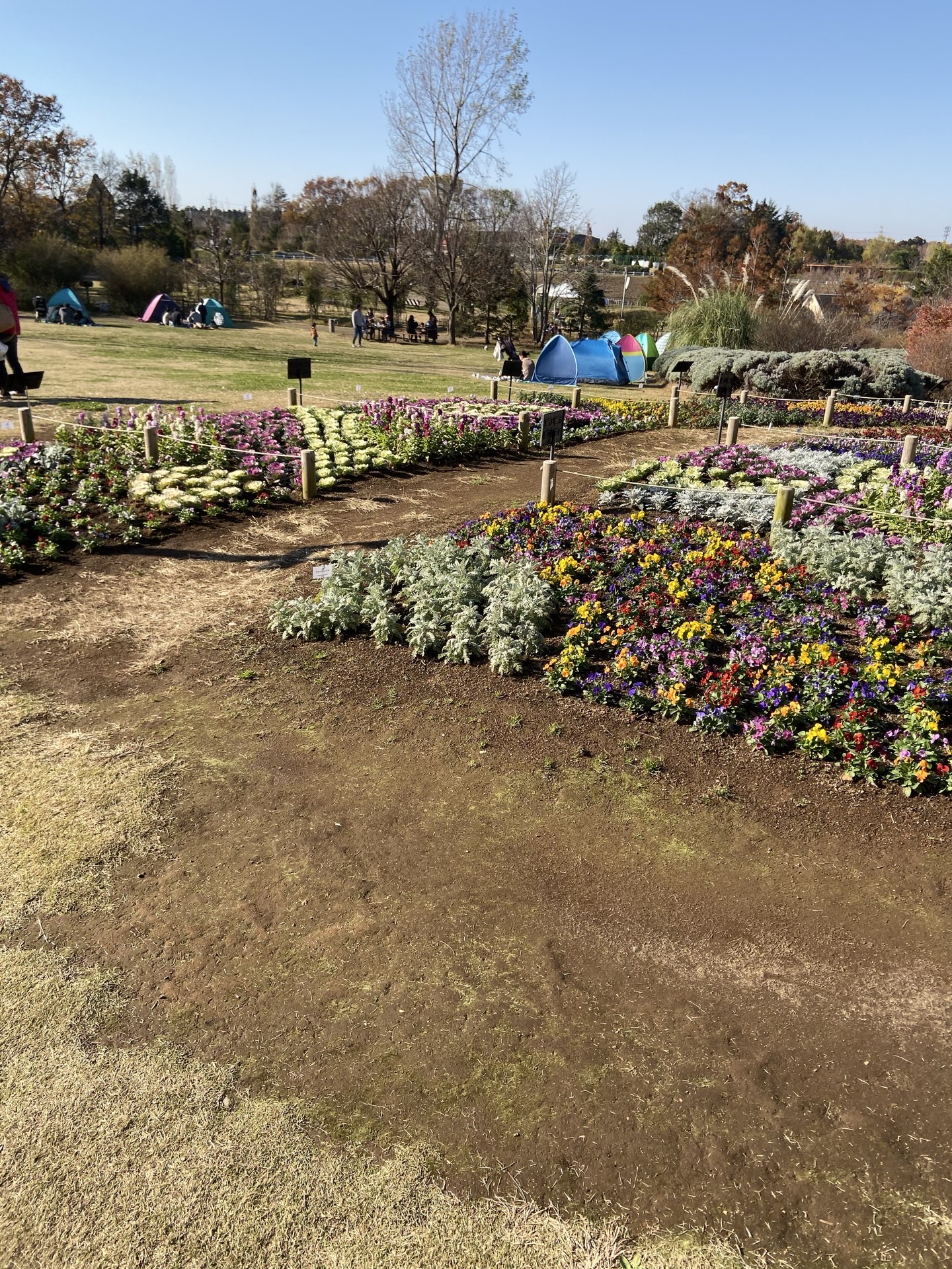 船橋 ふなばしアンデルセン公園 評判 案内 トリップドットコム 船橋 ふなばしアンデルセン公園 評判 案内 トリップドットコム