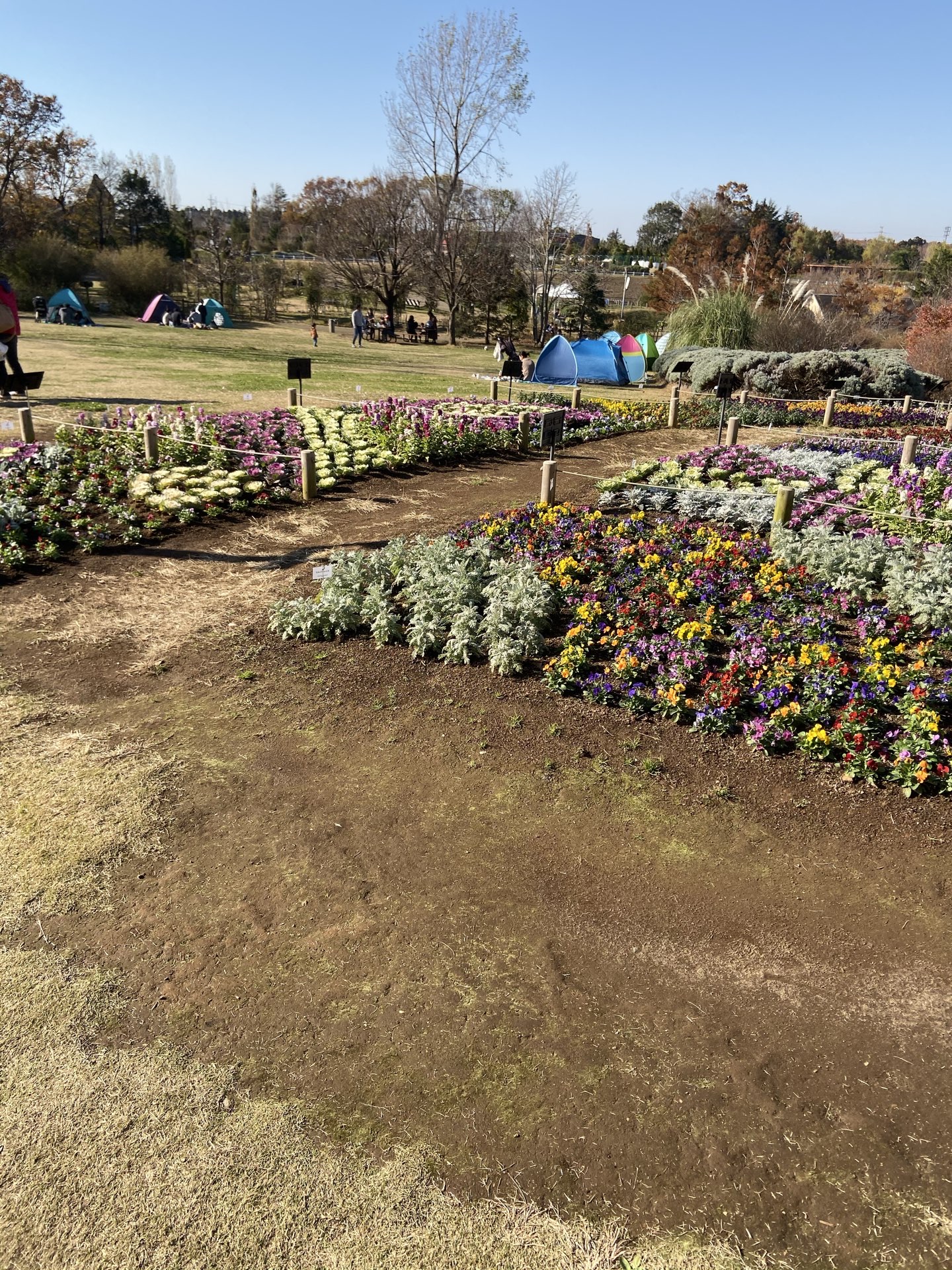 船橋 ふなばしアンデルセン公園 評判 案内 トリップドットコム