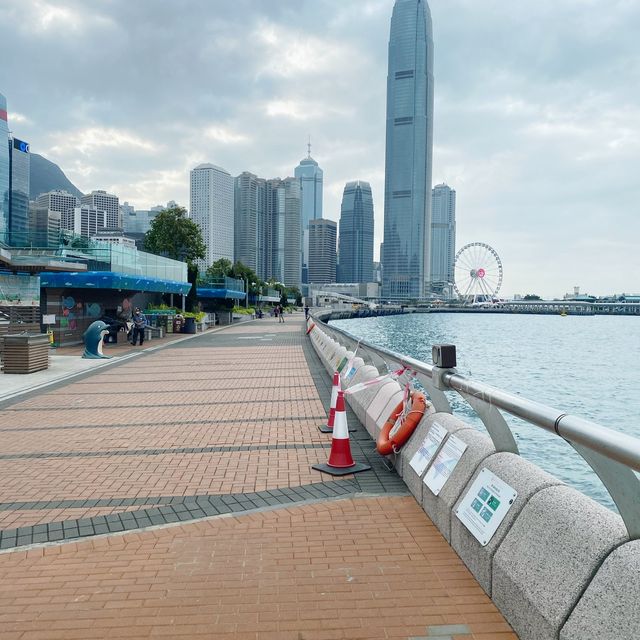 極大草地！