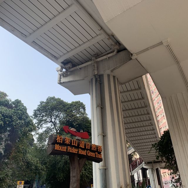 新手合家歡行山路線 遠眺港島東及九龍東景