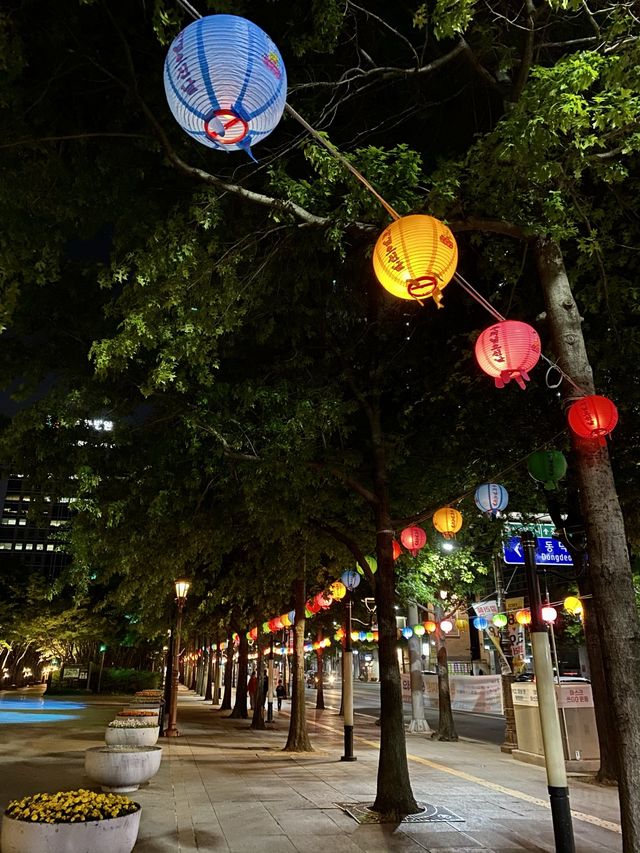 연등 아래서 밤산책 해요 