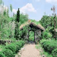 คาเฟ่สไตล์​ตะวันตก