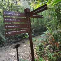MacRitchie Reservoir