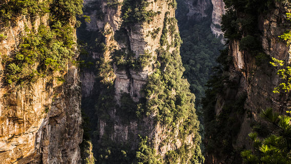 ZhangjiajieTours
