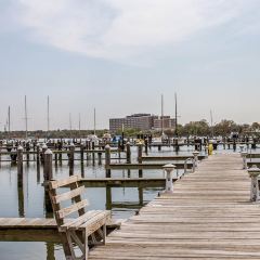Nick's Fish House User Photo