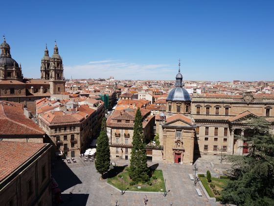 Salamanca Cathedral