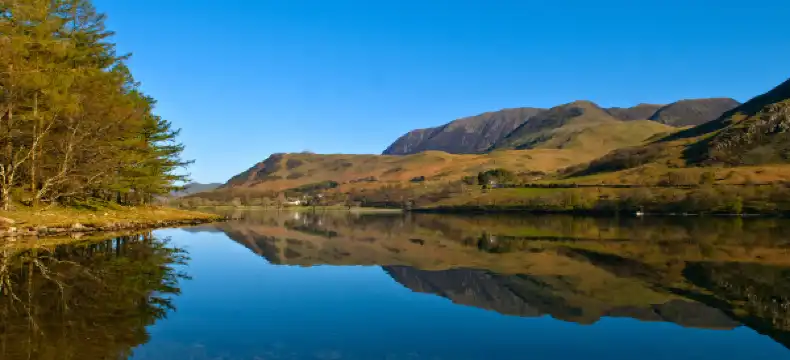 فنادق في الفلوجة