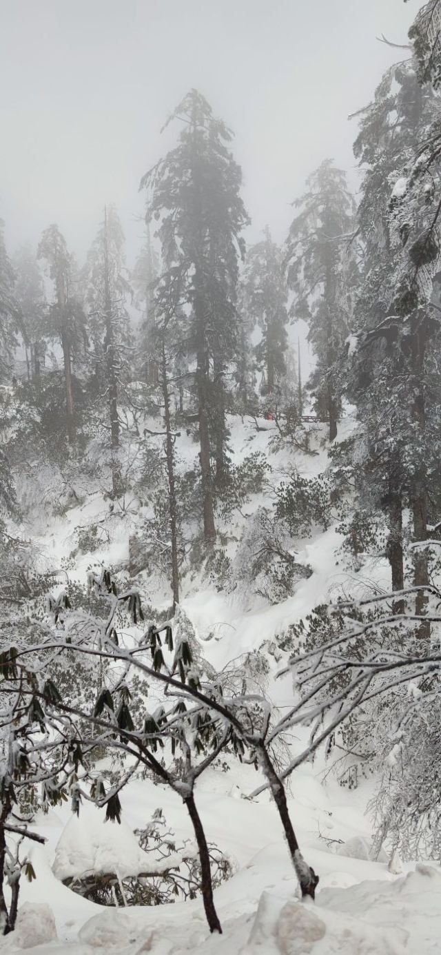Wawushan Mountain Area