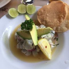 Lampuga Condesa User Photo