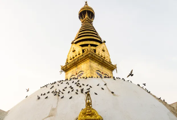 Boudha Boutique Hotel