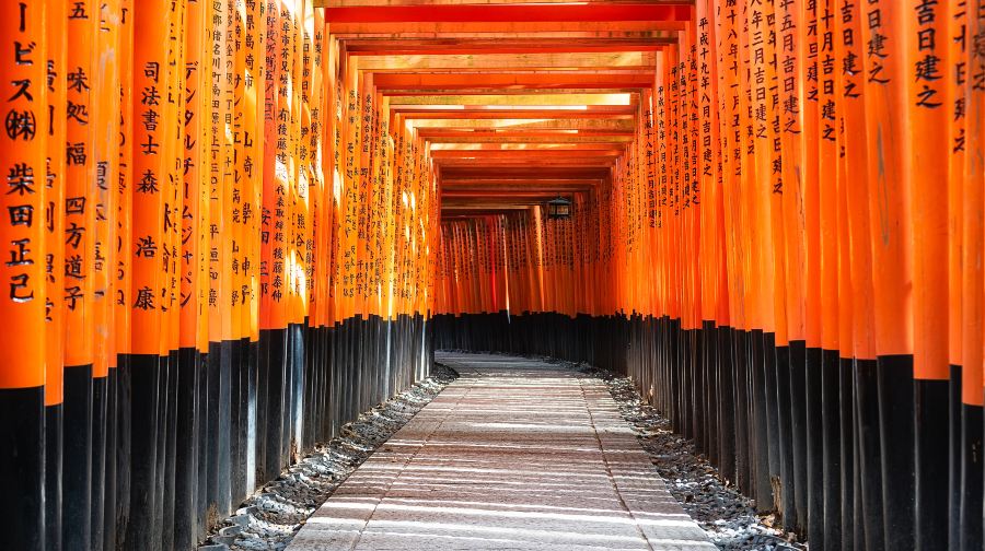 清水寺+東大寺+奈良公園+伏見稻荷大社一日遊【普通話司機】