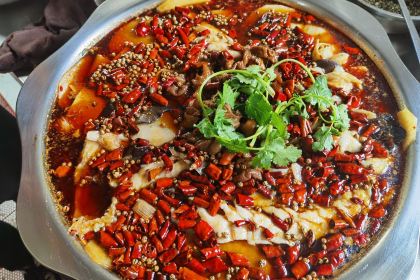 关渔小院肥肠鱼火锅(大英店)