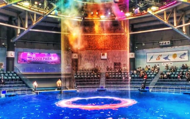 【唔止水族館咁簡單｜融合燈光、聲音及影像特色水族館】