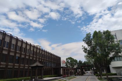 东阿阿胶文化酒店·餐饮部