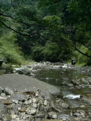 冷水河自然保護區