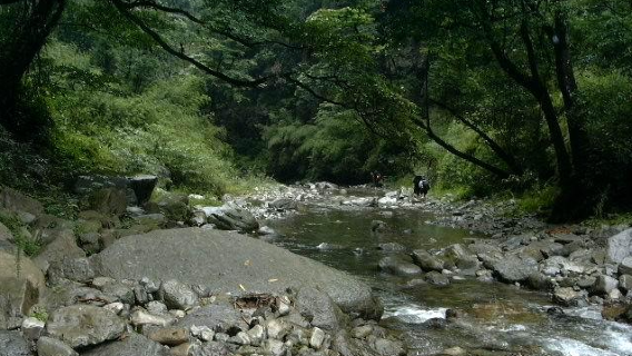 Lengshuihe Nature Reserve