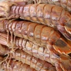 渡海小漁村·日照本幫菜（連雲港路店）張用戶圖片