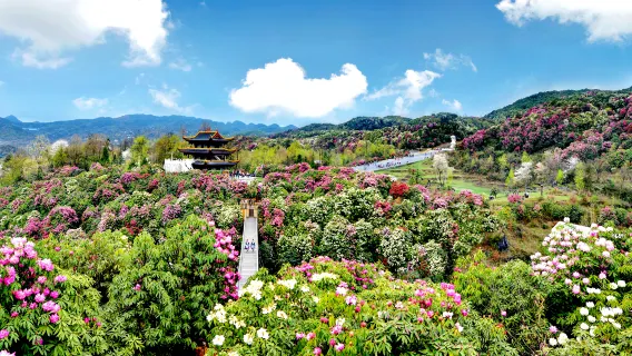 玩水避暑
