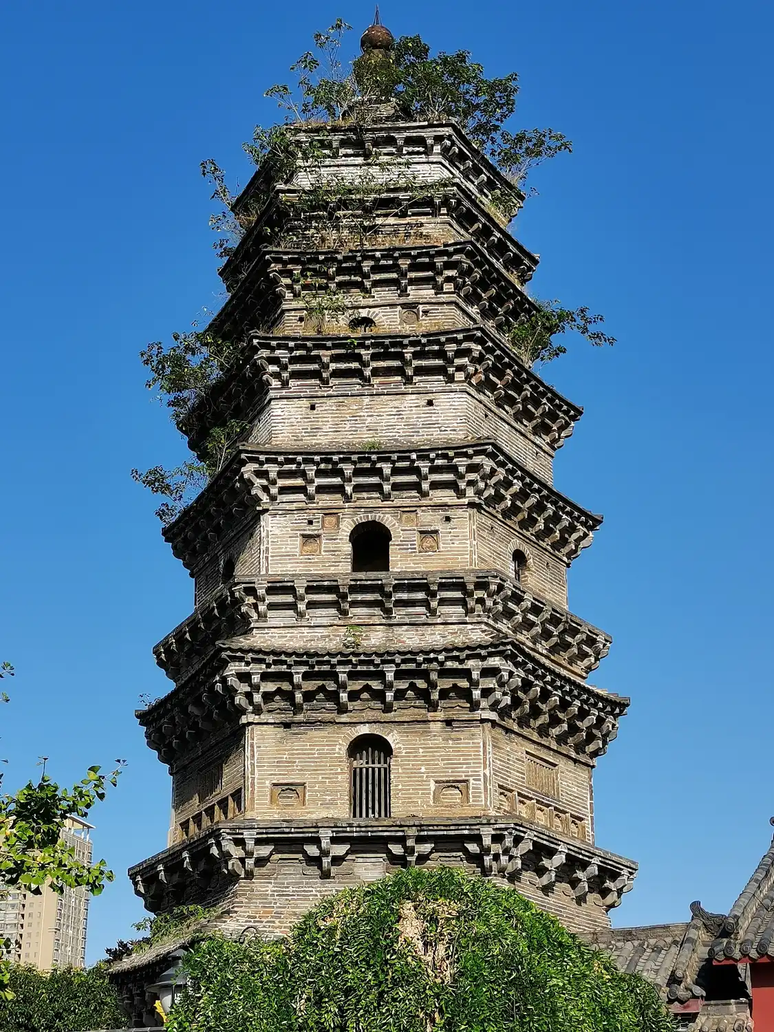 Hotels near Beita Park (East Gate)