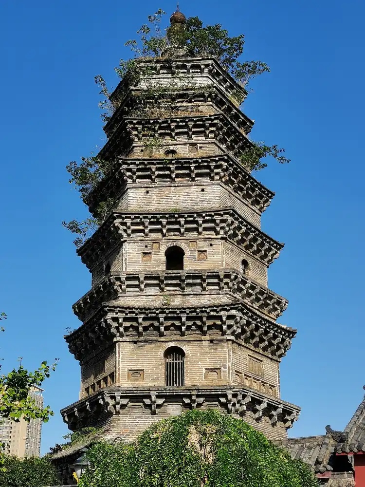 Hotels near Beita Park (East Gate)