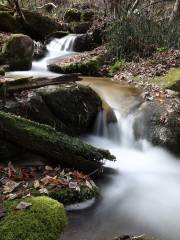 Baijiyao Forest Park