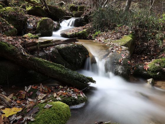 Baijiyao Forest Park