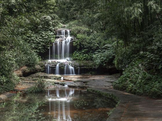 Five-fold Waterfall