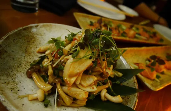 Roka Akor - Chicago