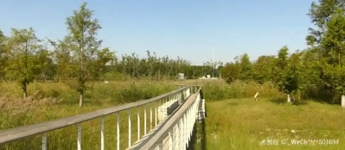 Отели рядом с достопримечательностью «Дун Ши Парк»