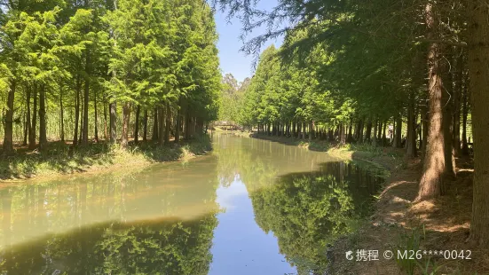 晋寧県東大河河口湿地