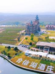 Taiyi Lake International Winery Ecological Cultural Zone