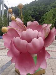 Dianjiang Peony Ecological Tourism Zone