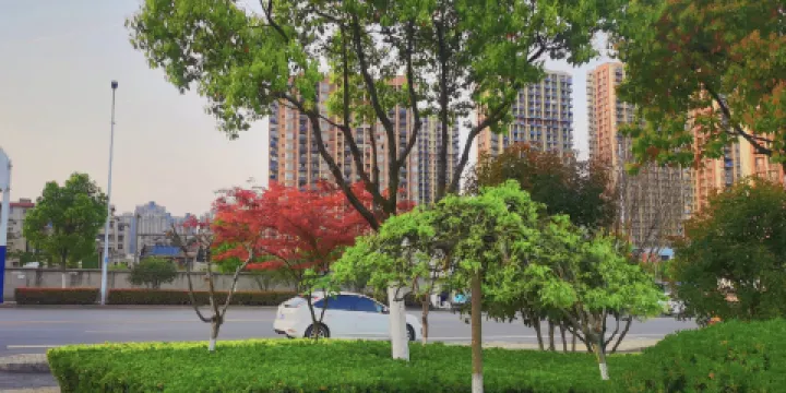 合肥淮北路公園