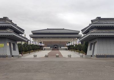 Qingyang Qihuang Zhongyiyao Culture Museum