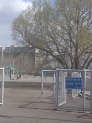 內蒙古工業大學金川校區-體育場