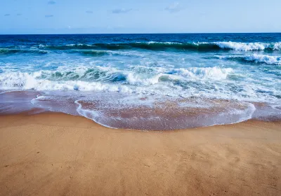 BASSAM BEACH