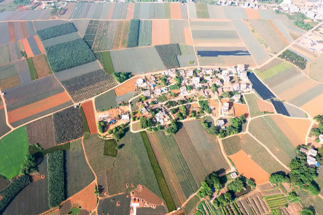 Hotels near The Sea of Pineapple