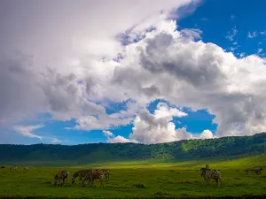 Parco nazionale del lago Manyara