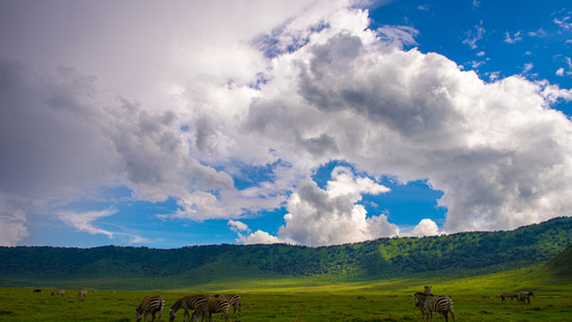 マニャラ湖国立公園