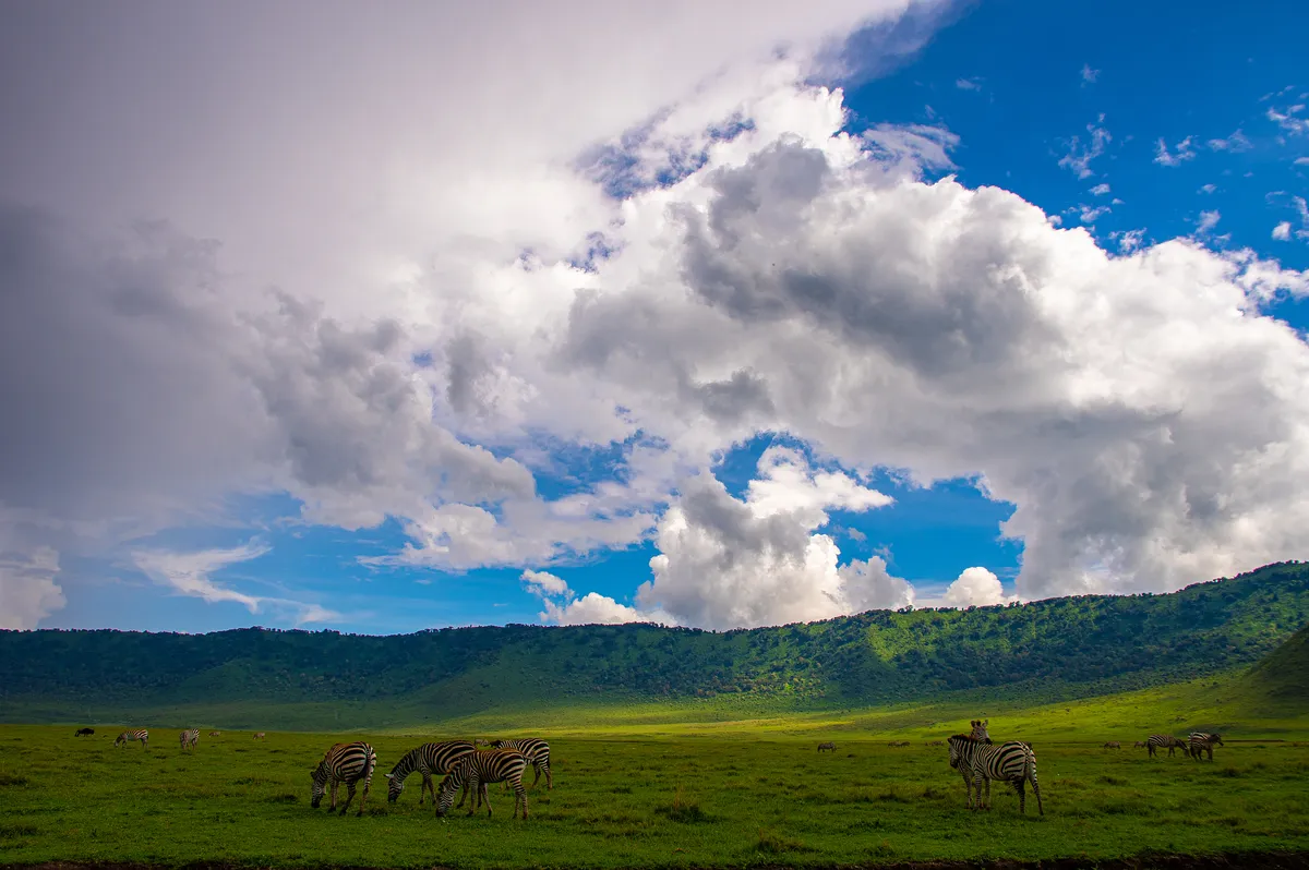 Lake Manyara National Park