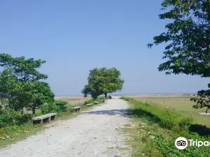 Jubilee Park