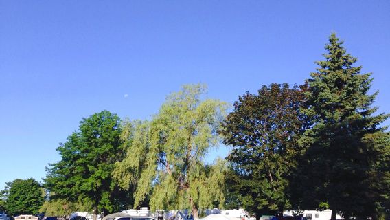 Tawas Point State Park