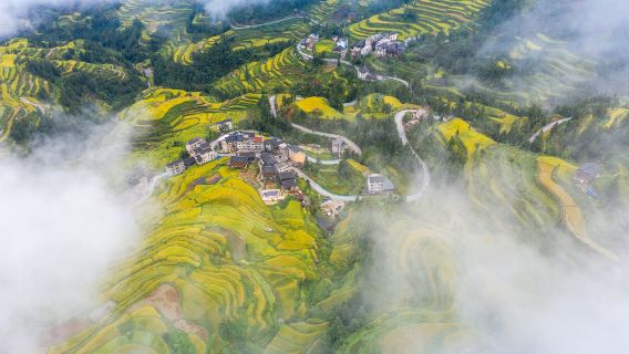 Terraced Field Sightseeing in Liping
