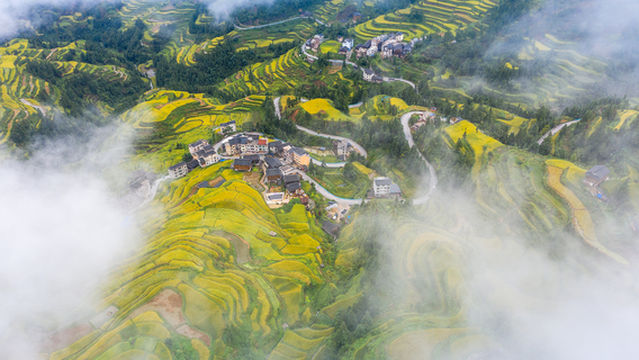 การเที่ยวชมนาขั้นบันไดที่ลี่ผิง